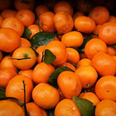 Mandalina