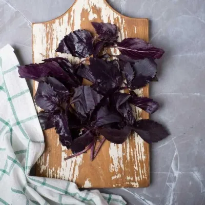 red basil
