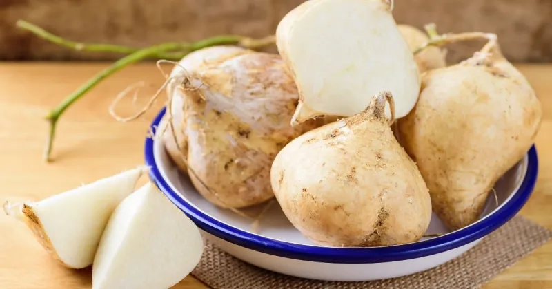 Jicama