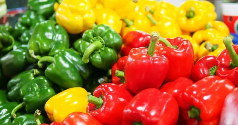Types of Sweet Peppers