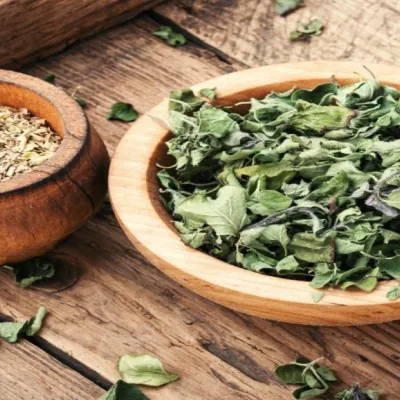 Marjoram