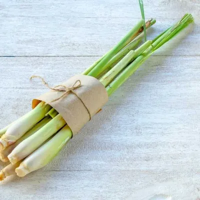 lemongrass