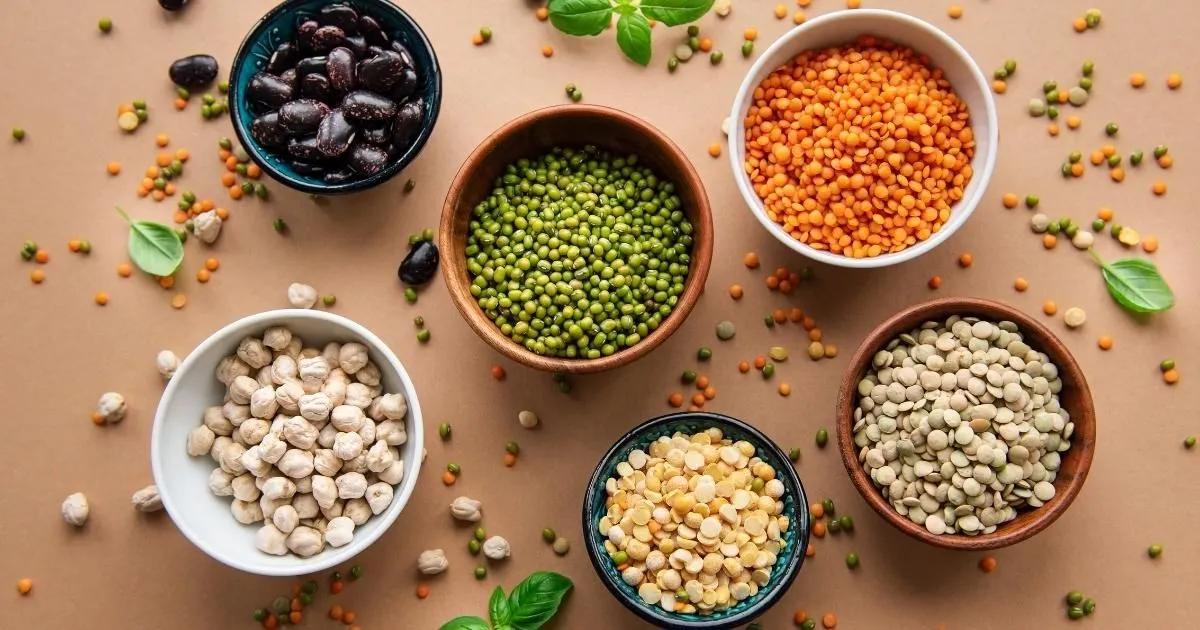 Types of Legumes
