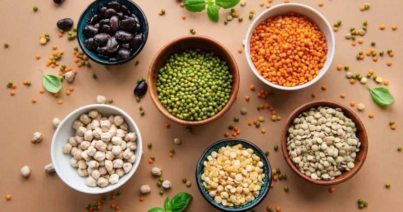 Types of Legumes