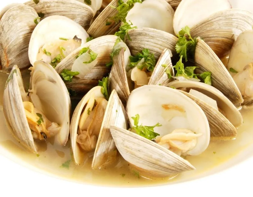 Clams