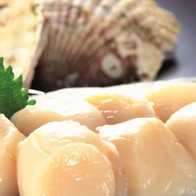 Scallops