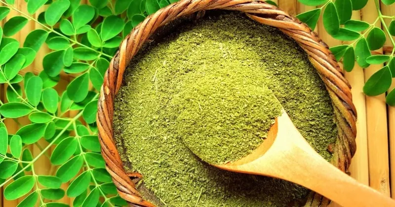 Bowl of Moringa Powder