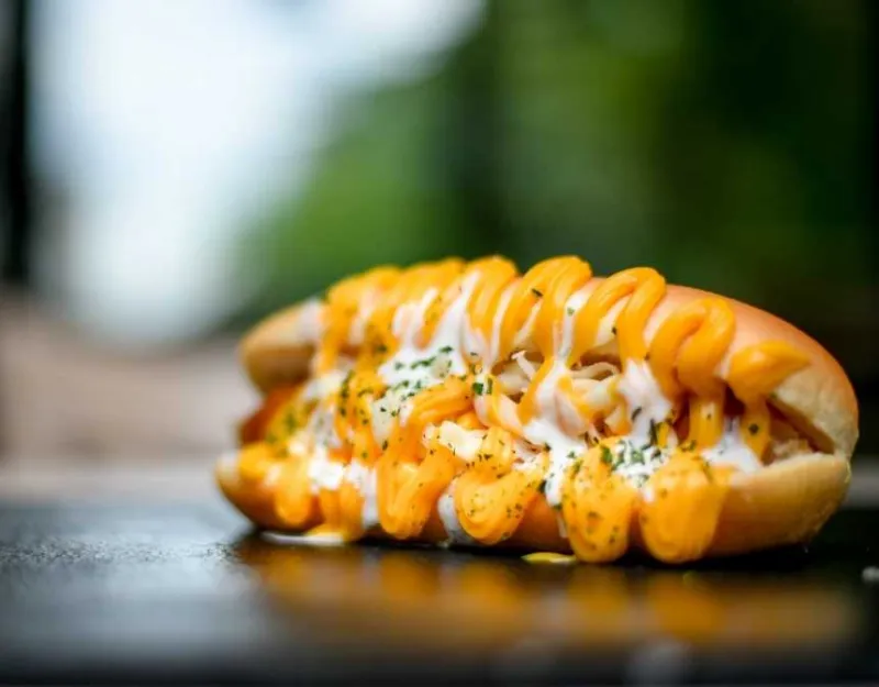 Hot Dog With Mustard