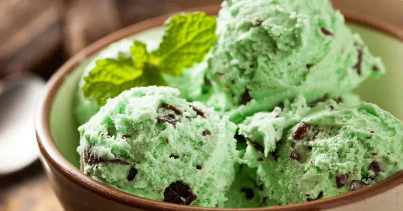 Mint Chocolate Chip Ice Cream