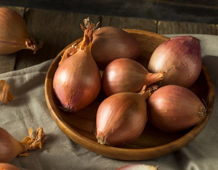 Shallots