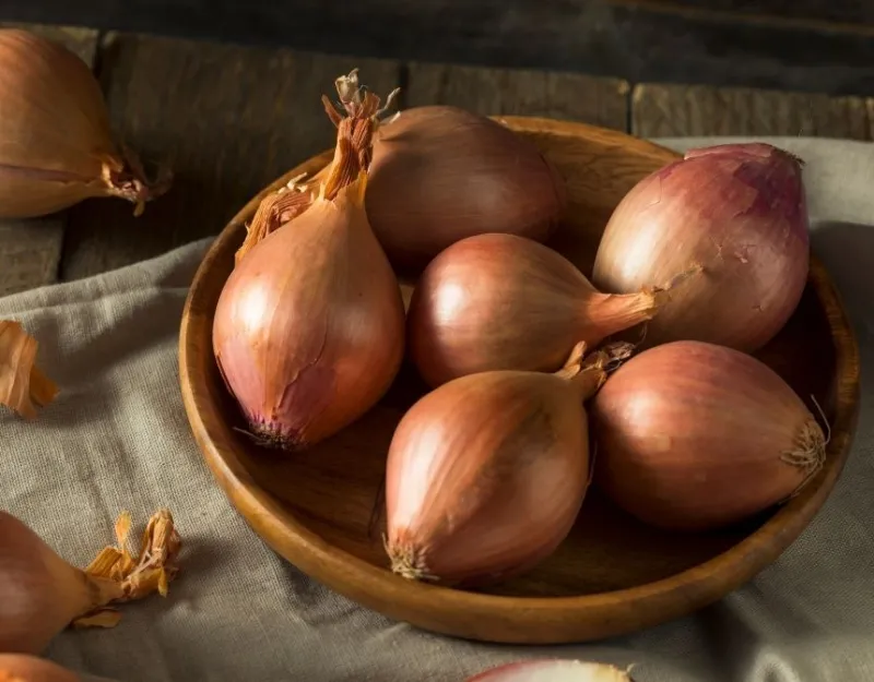 Shallots