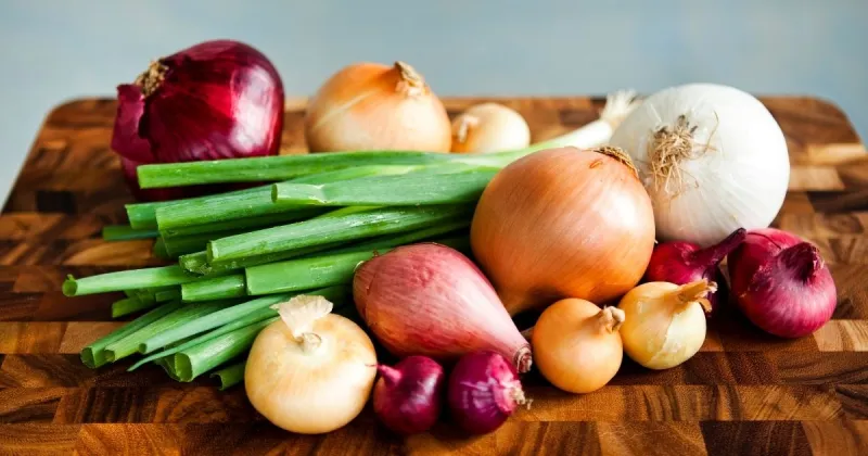 Types of Onions