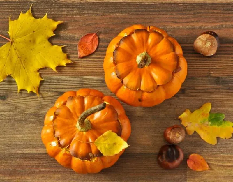 autumn leaves and two pumpkins