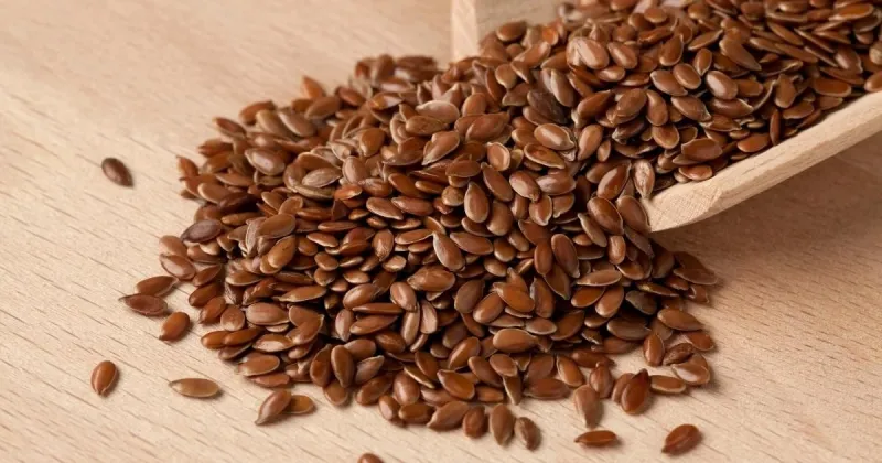 Flax Seeds