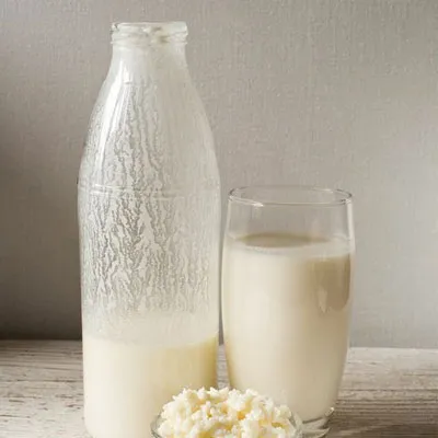 kefir