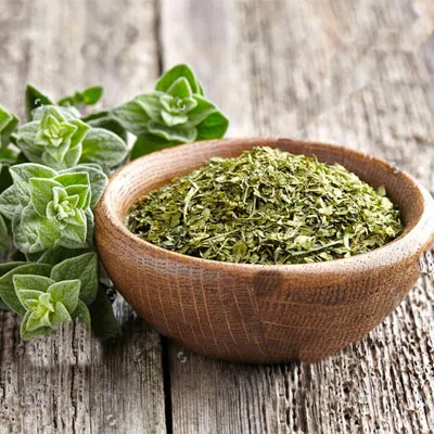 Oregano