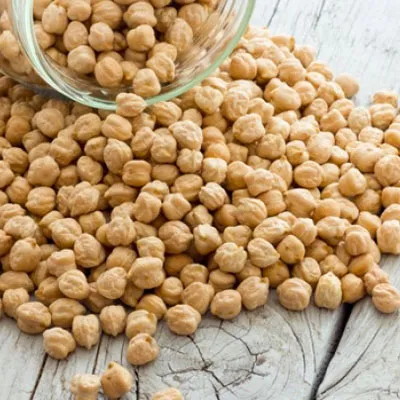 Chickpea