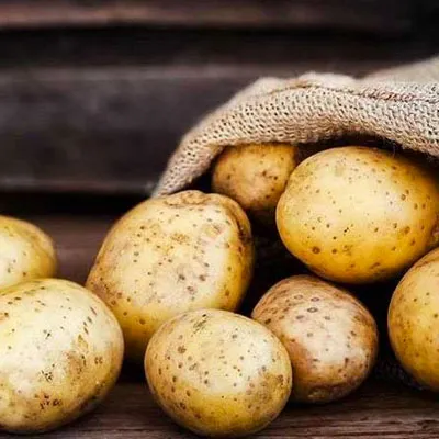 potato