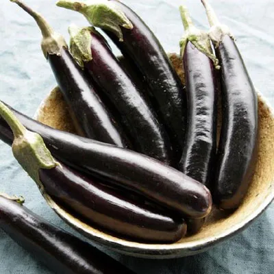 Eggplant