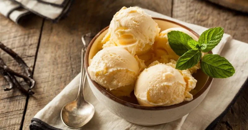 Bowl of Homemade Vanilla Ice Cream