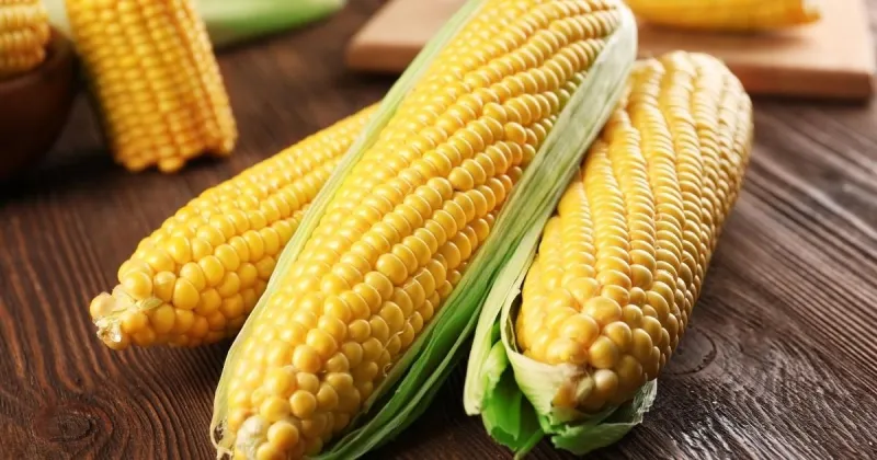 Corn on the Cob