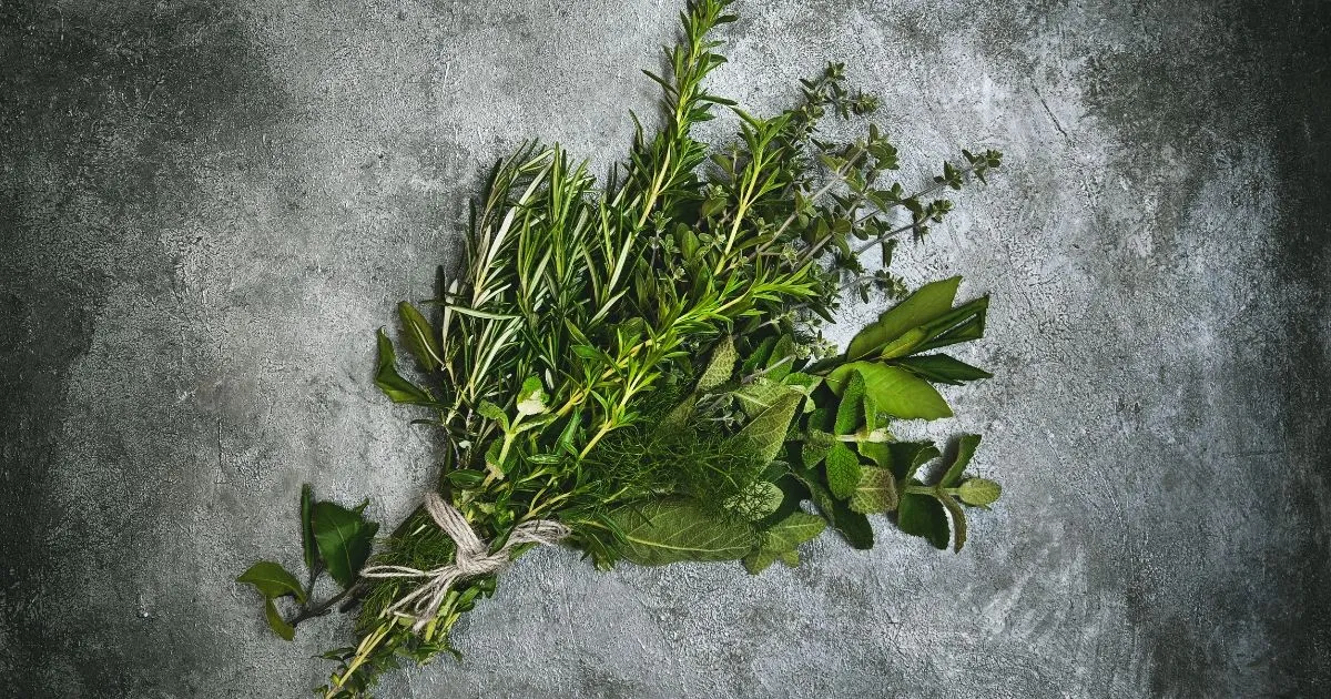 Fresh Bouquet Garni