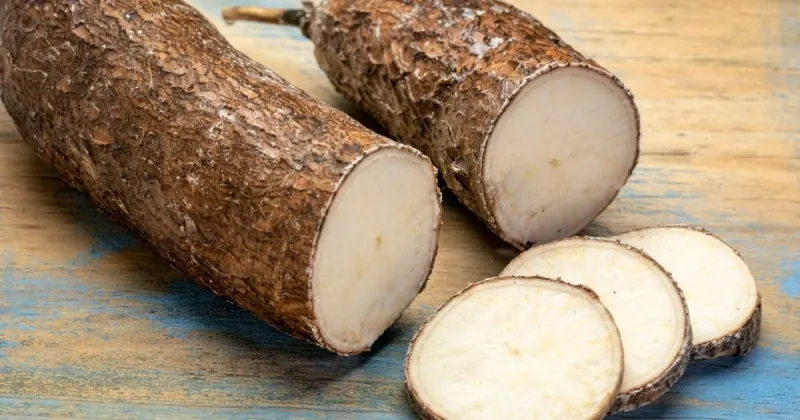 Fried Yuca