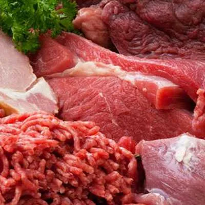 Lamb