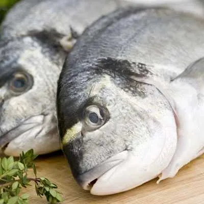 fish