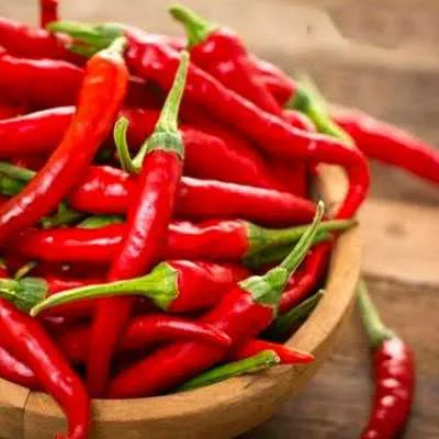 red chilli