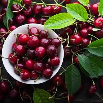 Sour Cherry