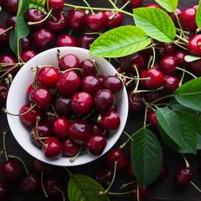 Sweet Cherry