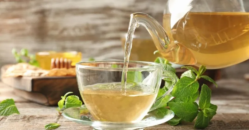 Lemon Balm Tea