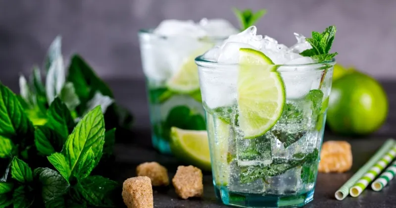 Mojito Cocktail