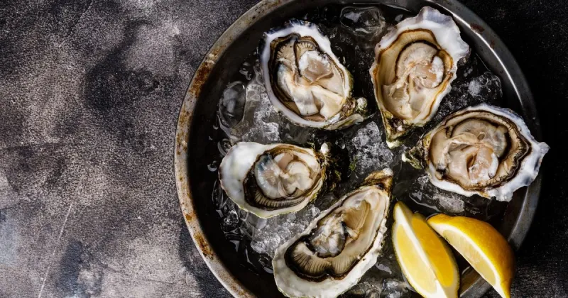 Open Shucked Fresh Oysters with Lemon on Ice