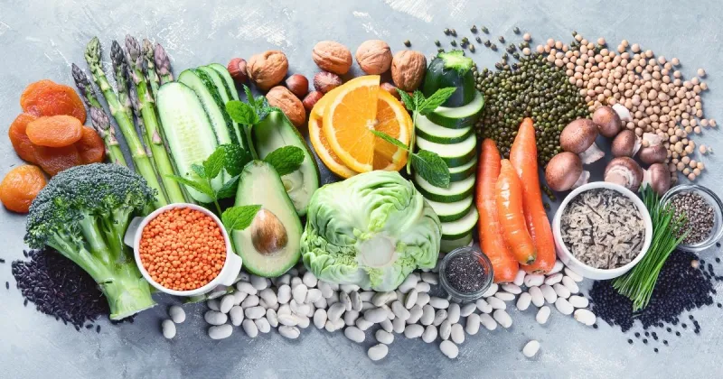 Plant-Based Protein Foods
