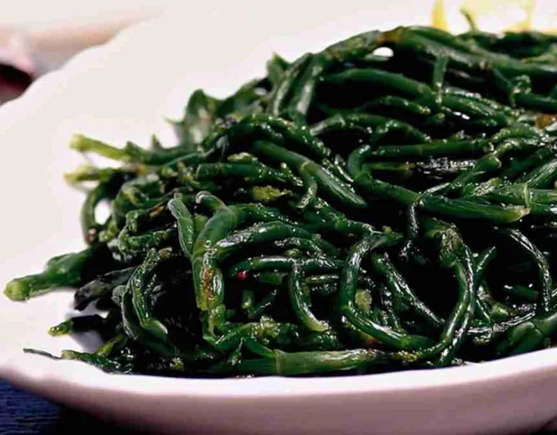 Sea Cowpea