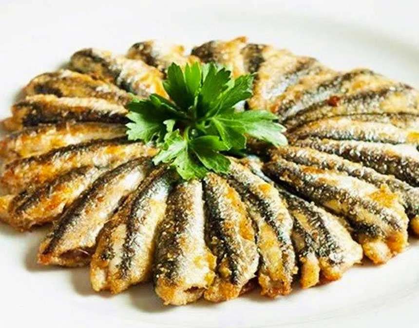 Anchovy Birds