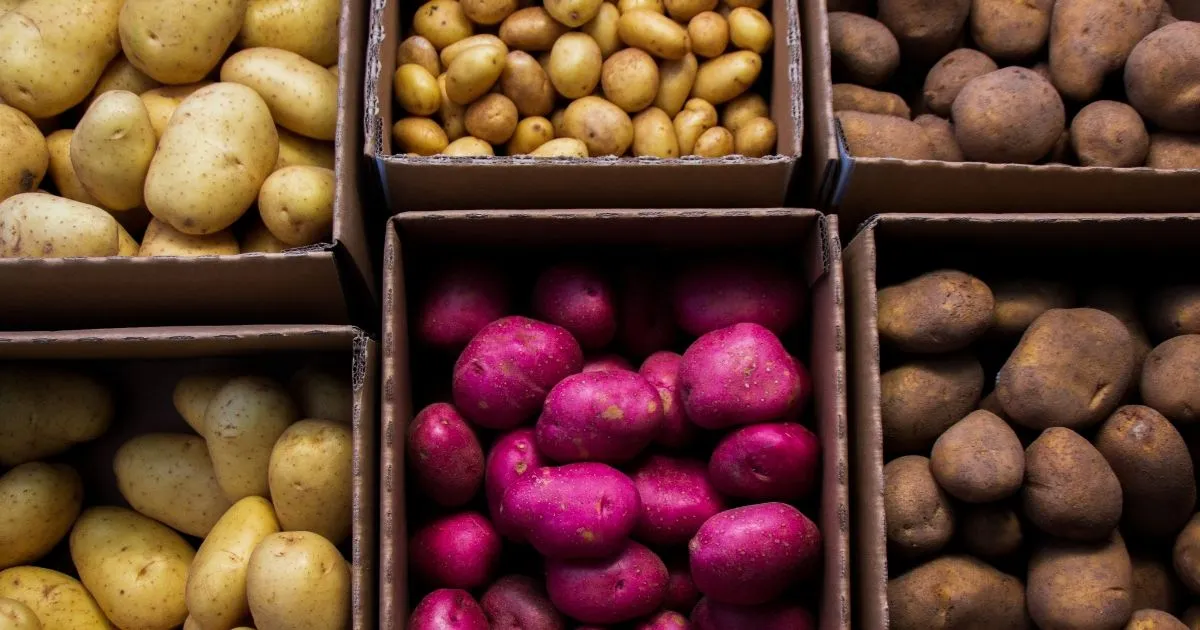 Types of Potatoes