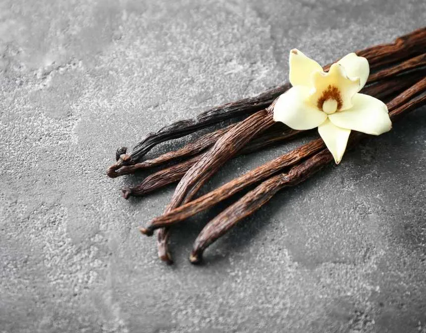 Vanilla Pod