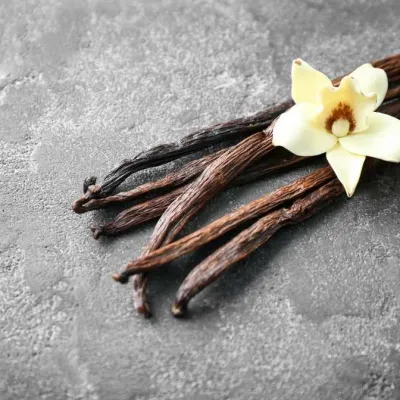 Vanilla Pod