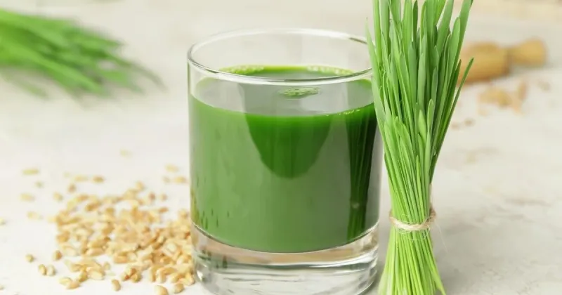Wheatgrass Water