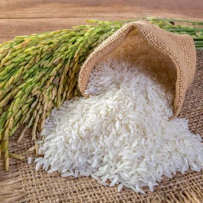 rice