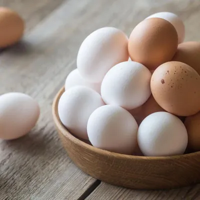 egg
