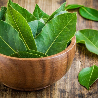 bay leaf