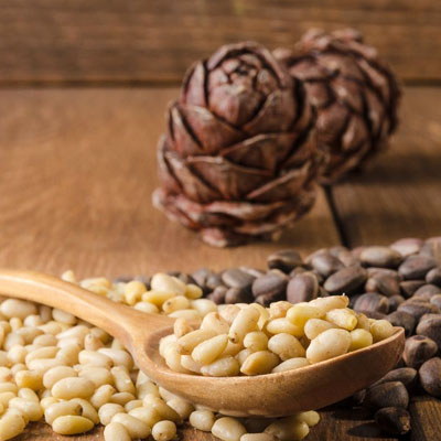 pine nut