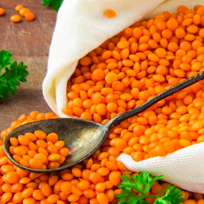 red lentil