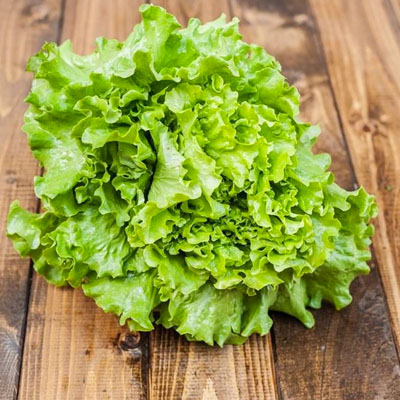 cabbage lettuce
