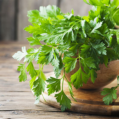 parsley
