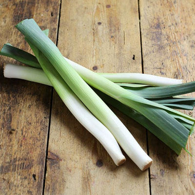 leek